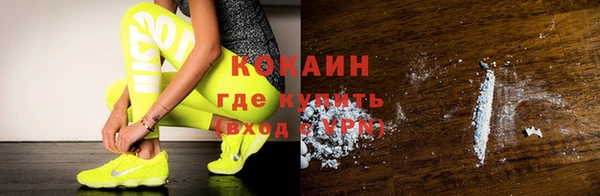 прущие грибы Медногорск