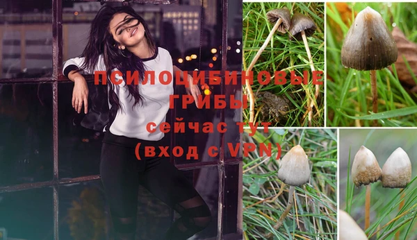 гашик Алзамай
