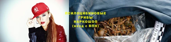 гашик Алзамай